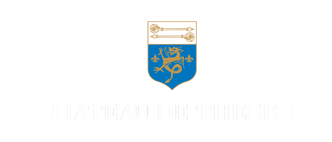 Logo Château de Thésée